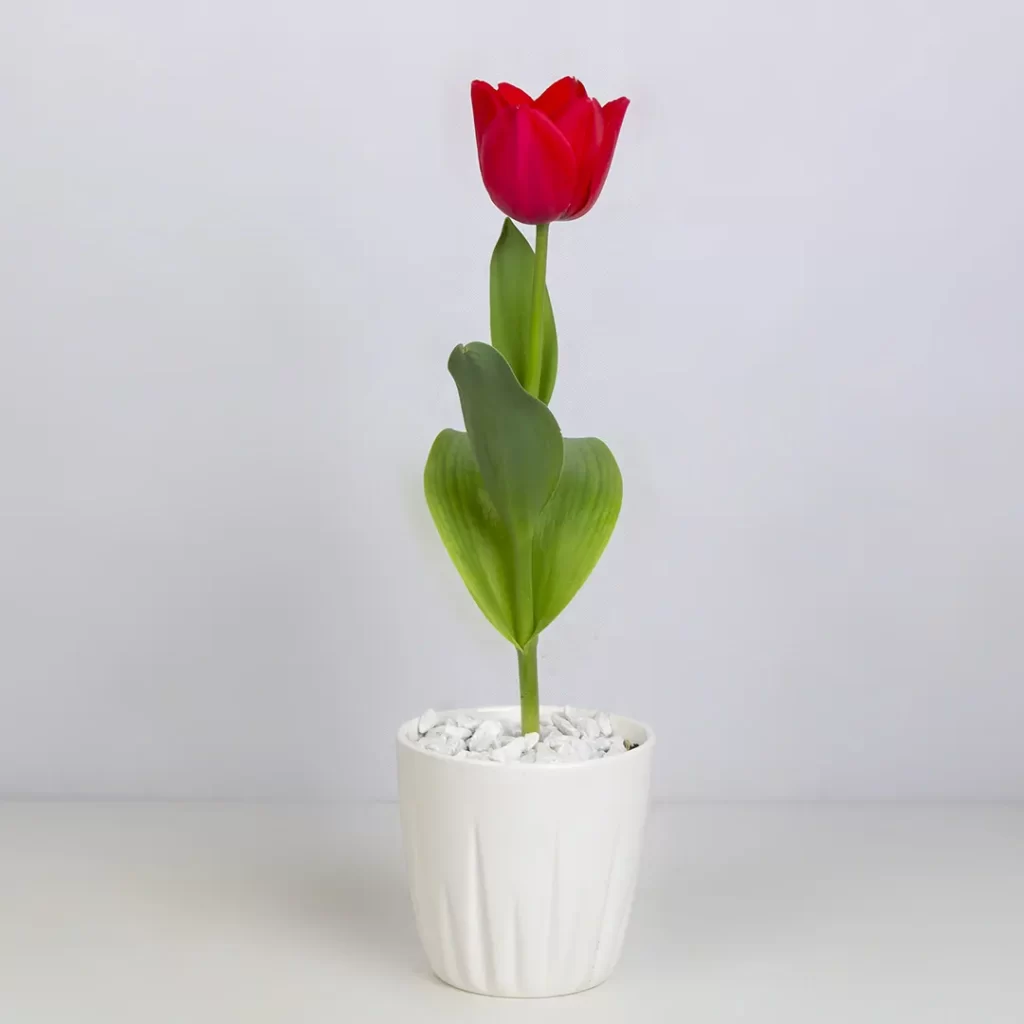عکس گلدان گل لاله قرمز کد 4840