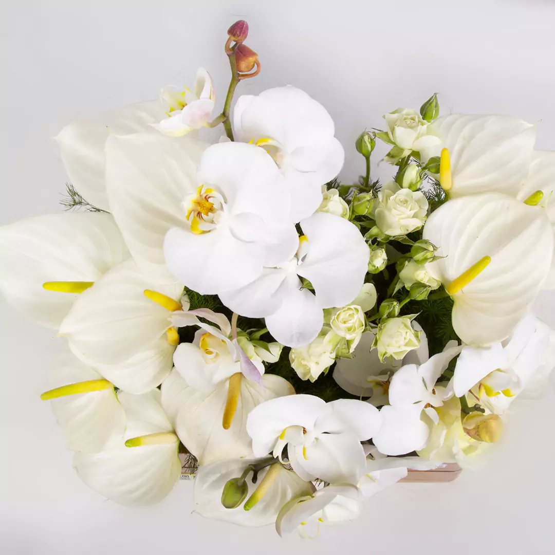 عکس باکس گل ختم و تسلیت با گل ارکیده و آنتوریوم و رز مینیاتوری کد 17371