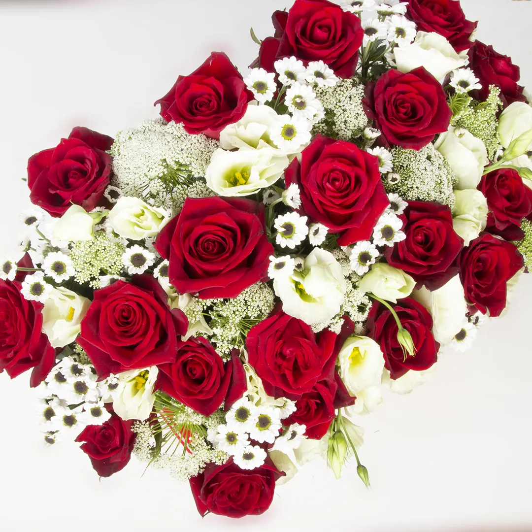 تصویر باکس مخملی گل رز هلندی قرمز و داوودی سفید کد 18416