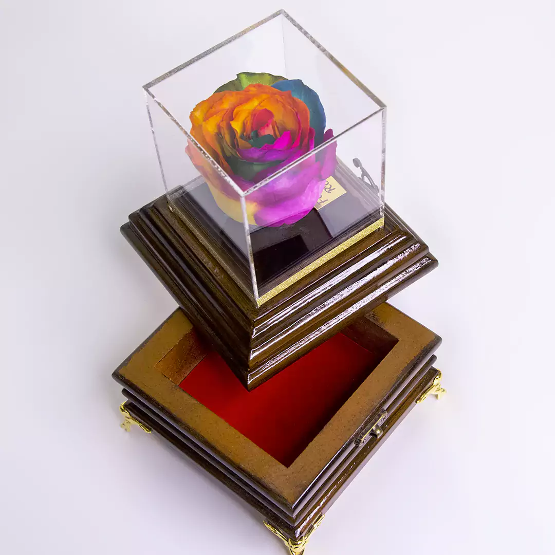 مدل جعبه گل رز جاویدان هفت رنگ کد 21000
