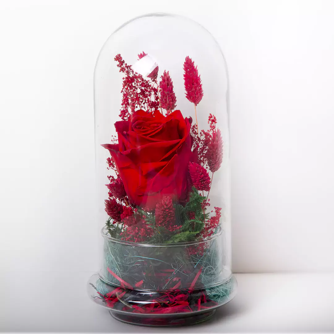 مشاهده گلدان شیشه ای گل رز جاویدان قرمز کد 21233
