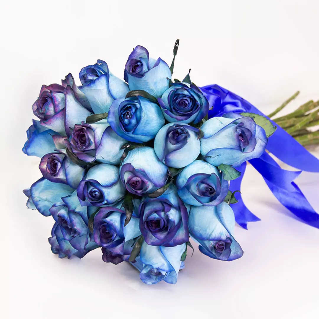 تصویر دسته گل رز آبی 21 شاخه کد 21917