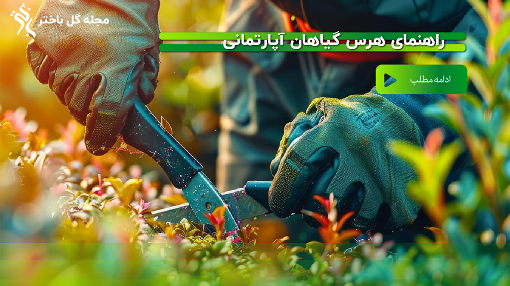 راهنمای هرس گیاه در مجله گل و گیاه باختر