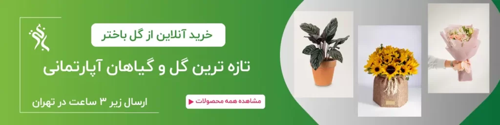 خرید گل و گیاه از گلفروشی باختر