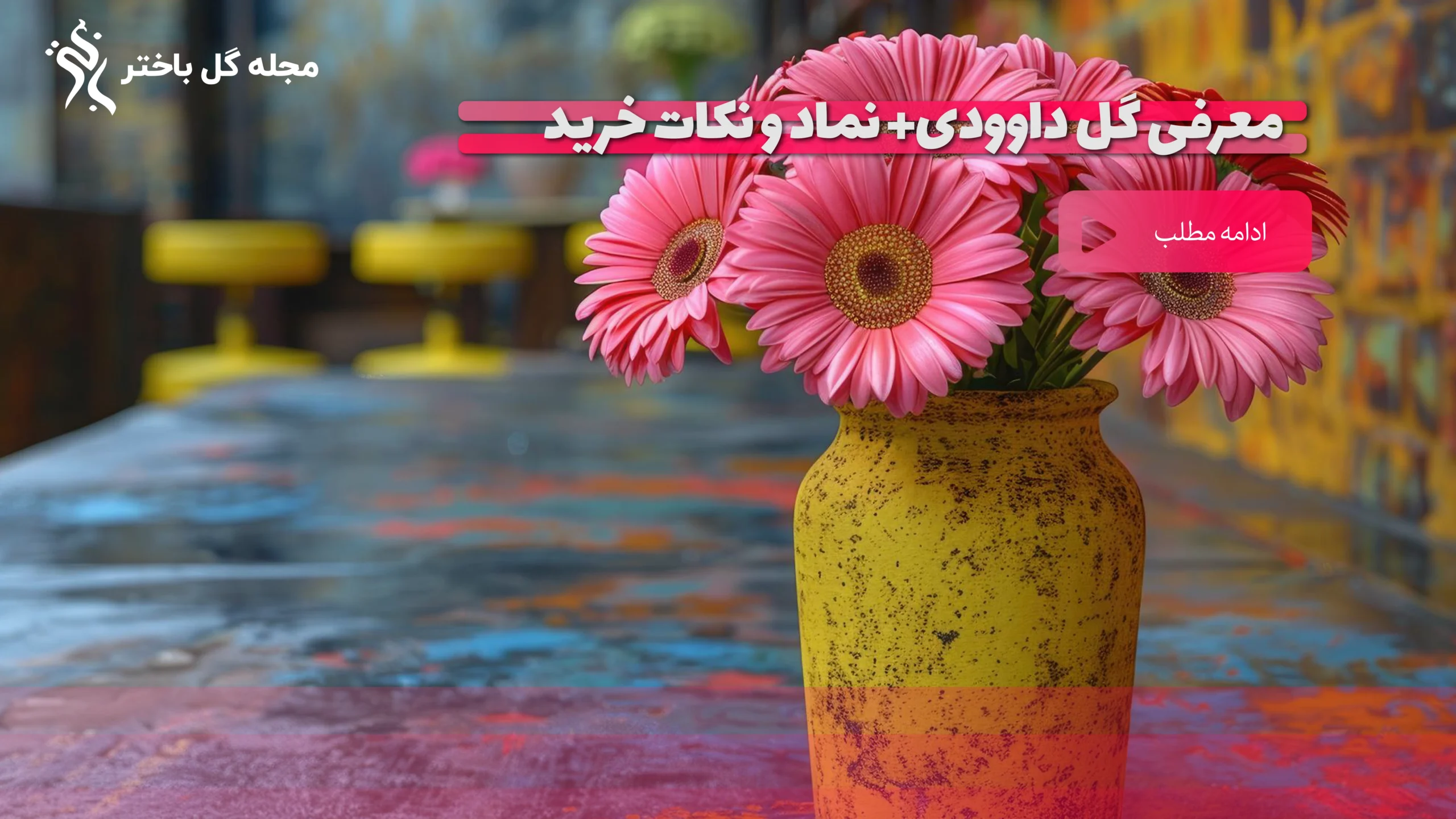 خرید گل داوودی از گلفروشی باختر
