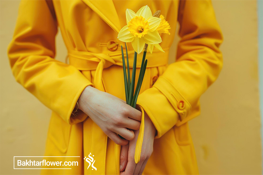 دسته گل عاشقانه نرگس