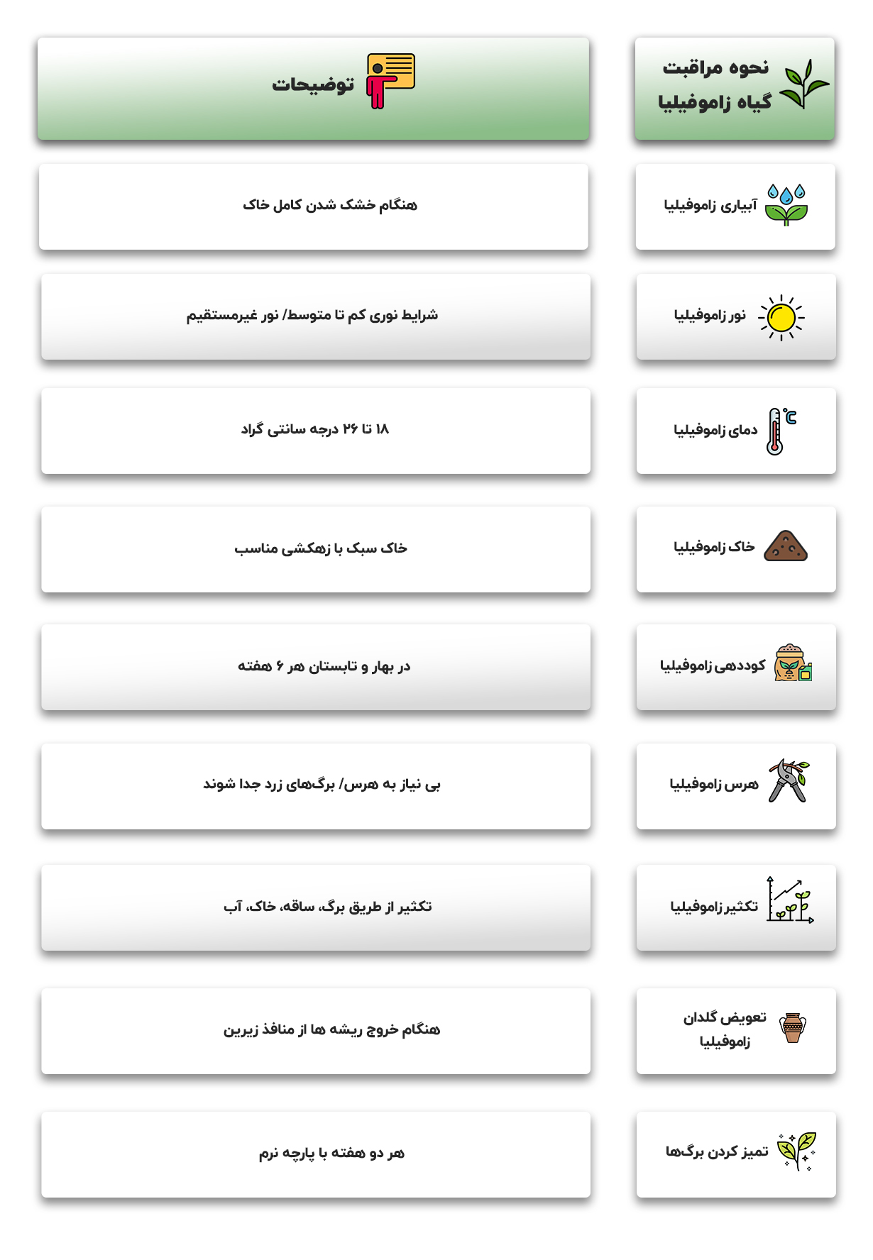 نحوه مراقبت و نگهداری از گیاه زاموفیلیا در مجله باختر