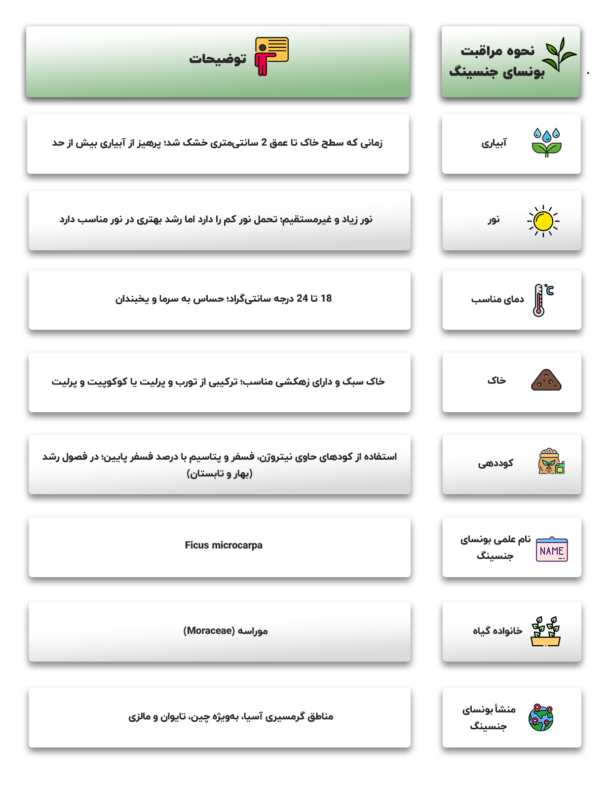 نحوه مراقبت و نگهداری از گیاه بونسای جنسینگ در مجله باختر